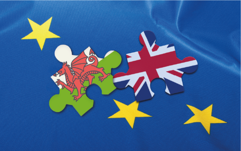 Puzzle pieces on a blue EU background