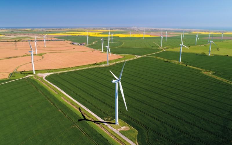 picture of windmills in a field