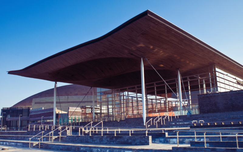 Senedd, Llywodraeth Cymru