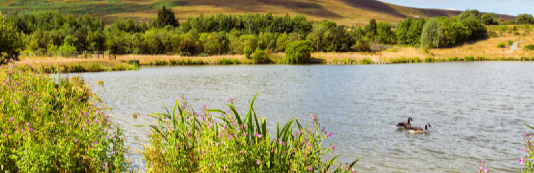 Llynnoedd y Garn, Gwarchodfa Natur Lleol, Blaenafon
