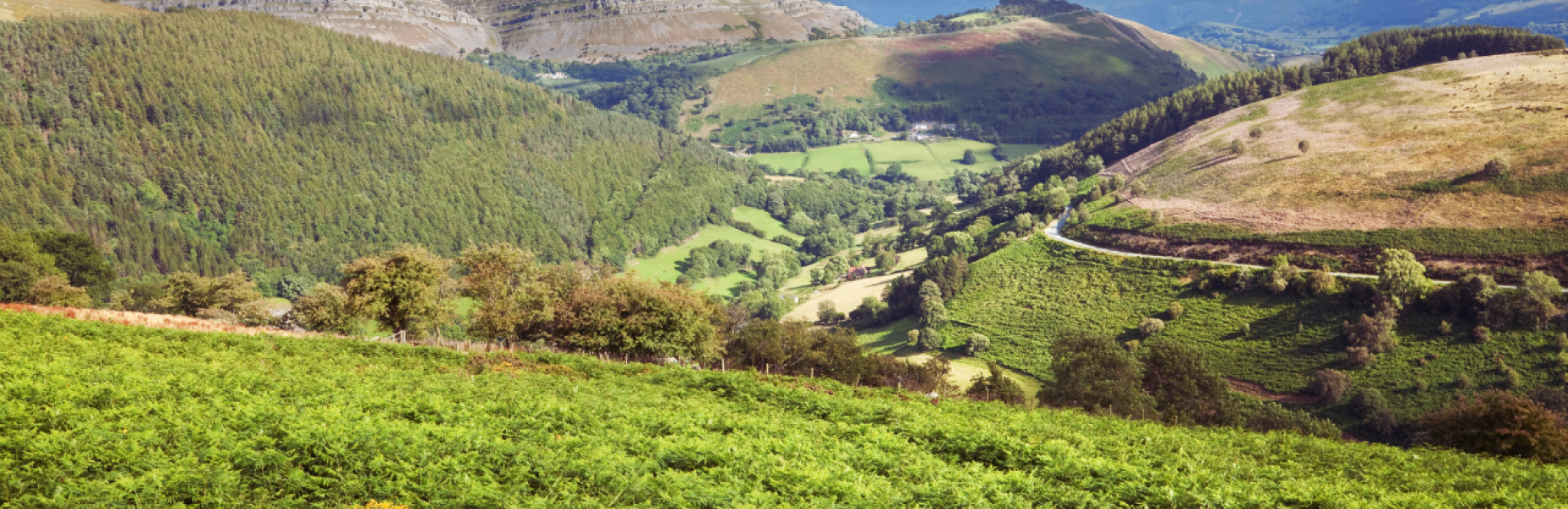 green hills in Denbighshire